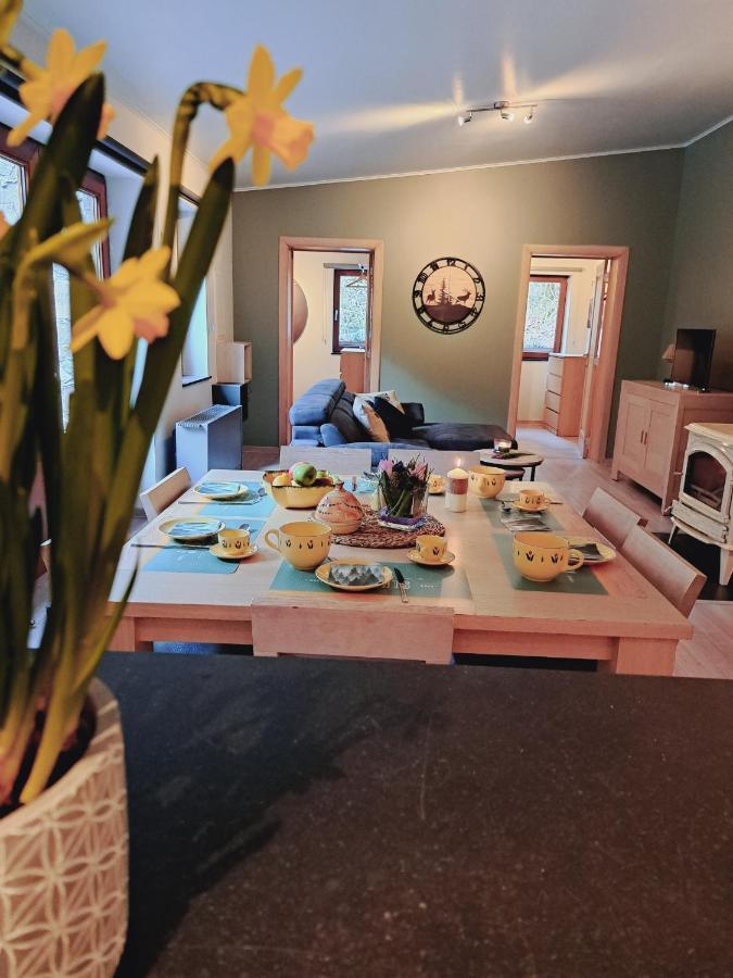 Le Ri De Va Maboge La Roche En Ardenne Villa Ortho Luaran gambar