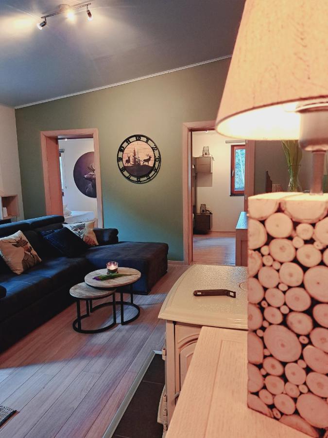 Le Ri De Va Maboge La Roche En Ardenne Villa Ortho Luaran gambar