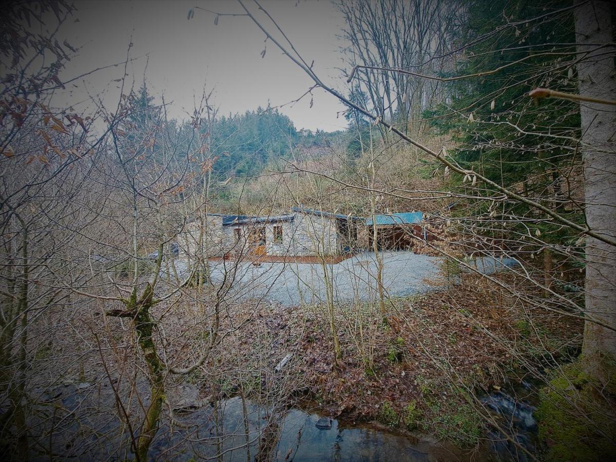 Le Ri De Va Maboge La Roche En Ardenne Villa Ortho Luaran gambar