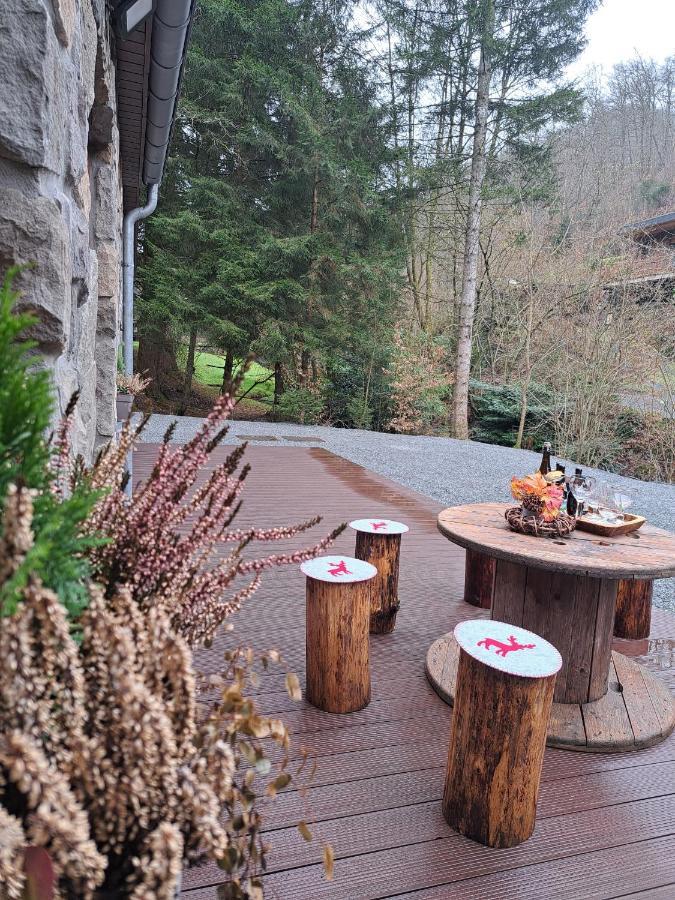 Le Ri De Va Maboge La Roche En Ardenne Villa Ortho Luaran gambar