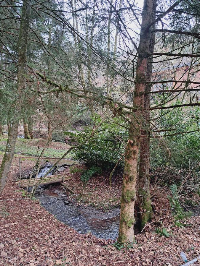 Le Ri De Va Maboge La Roche En Ardenne Villa Ortho Luaran gambar