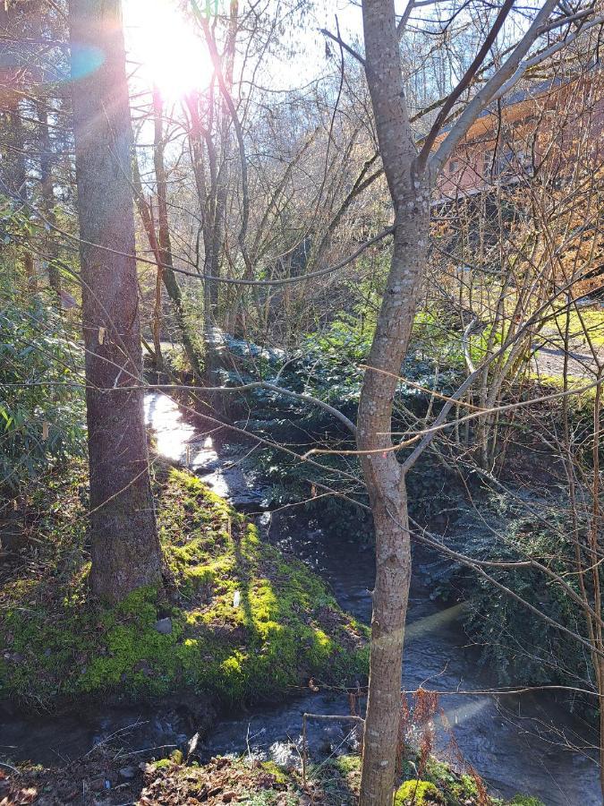 Le Ri De Va Maboge La Roche En Ardenne Villa Ortho Luaran gambar