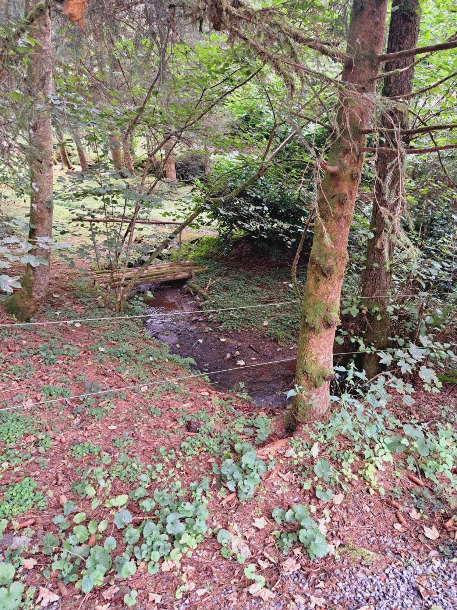 Le Ri De Va Maboge La Roche En Ardenne Villa Ortho Luaran gambar