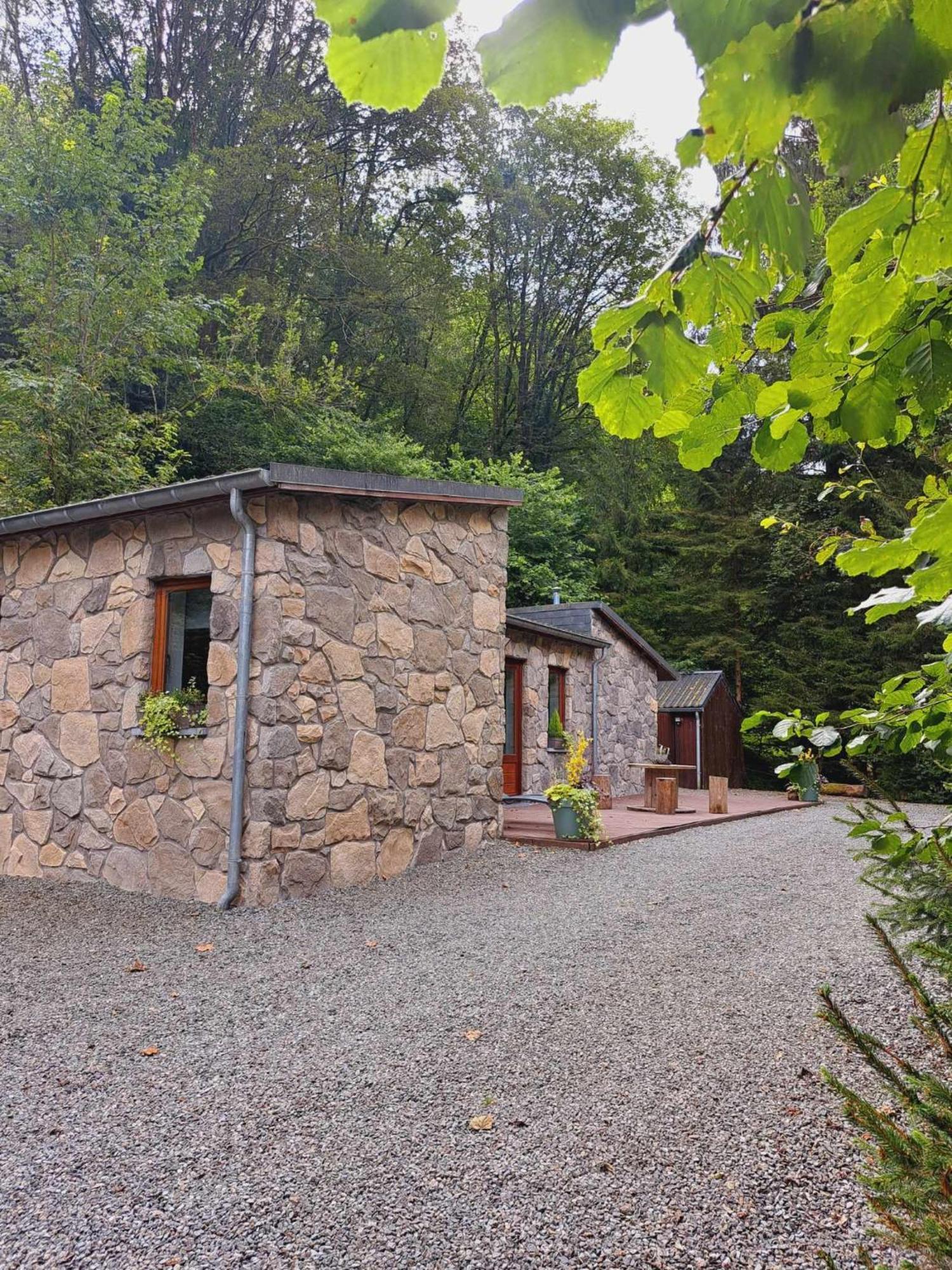 Le Ri De Va Maboge La Roche En Ardenne Villa Ortho Luaran gambar