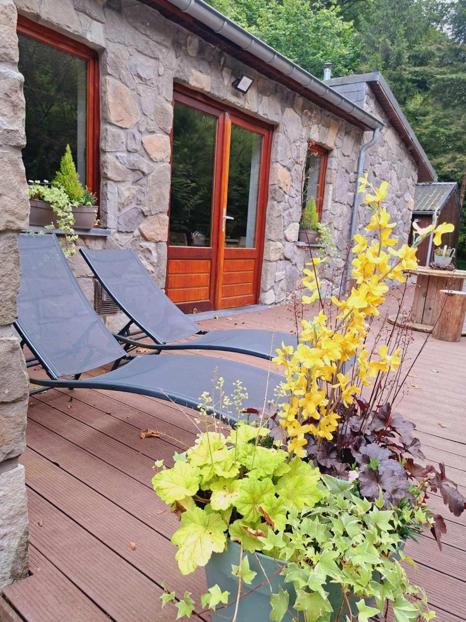 Le Ri De Va Maboge La Roche En Ardenne Villa Ortho Luaran gambar