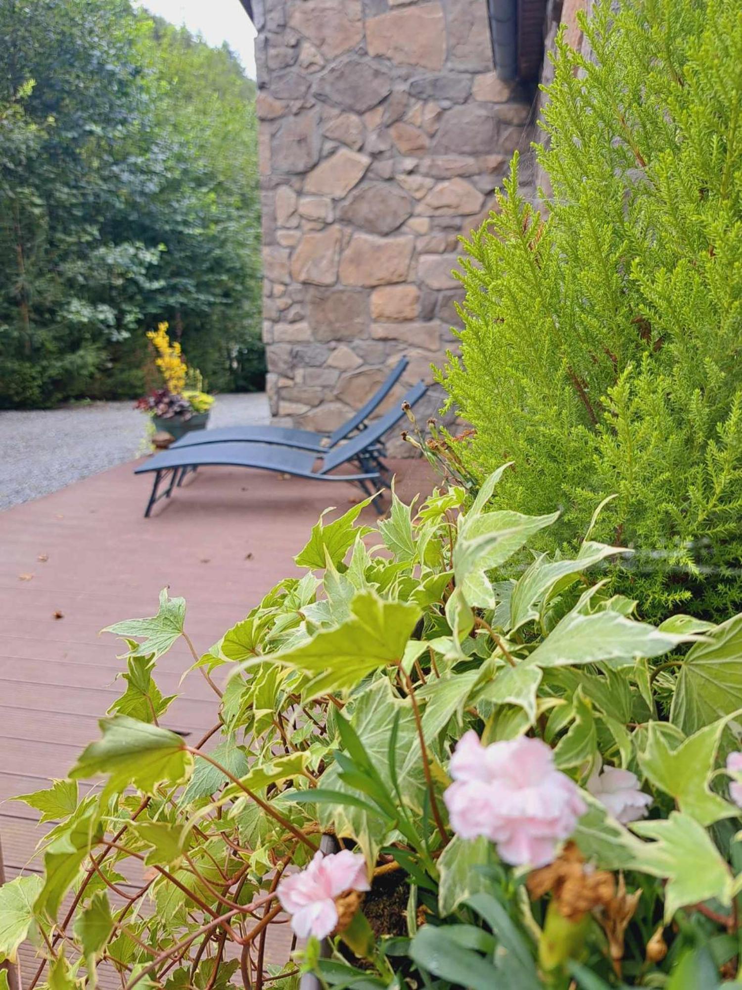 Le Ri De Va Maboge La Roche En Ardenne Villa Ortho Luaran gambar